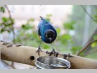 VS Neufeld im Haus des Meeres und Zoom, 11.06.2013