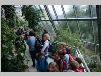 VS Neufeld im Haus des Meeres und Zoom, 11.06.2013