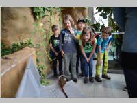 VS Neufeld im Haus des Meeres und Zoom, 11.06.2013