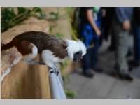 VS Neufeld im Haus des Meeres und Zoom, 11.06.2013