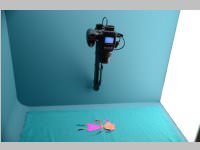 VS Neufeld im Haus des Meeres und Zoom, 11.06.2013