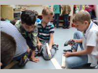 VS Neufeld im Haus des Meeres und Zoom, 11.06.2013