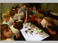 VS Neufeld im Haus des Meeres und Zoom, 11.06.2013