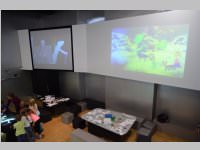 VS Neufeld im Haus des Meeres und Zoom, 11.06.2013