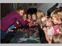 VS Neufeld im Haus des Meeres und Zoom, 11.06.2013