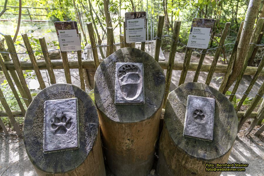 Bärenwald Arbesbach, September 2023