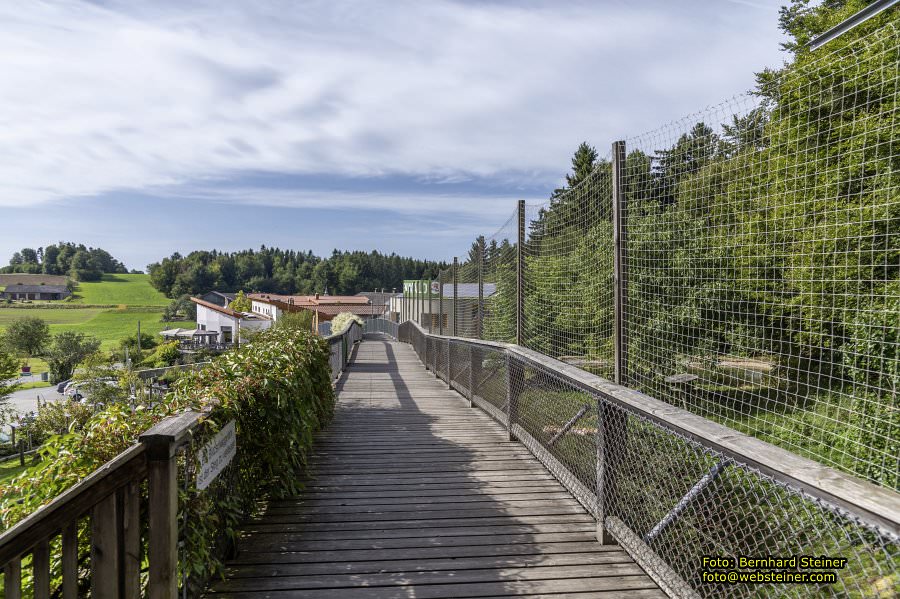 Bärenwald Arbesbach, September 2023