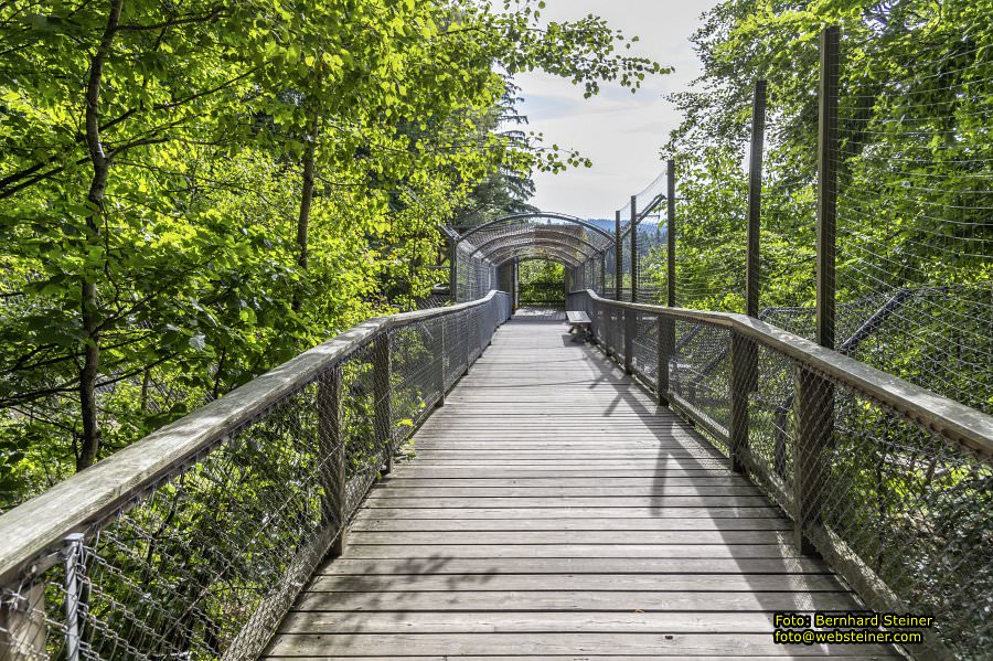 Bärenwald Arbesbach, September 2023