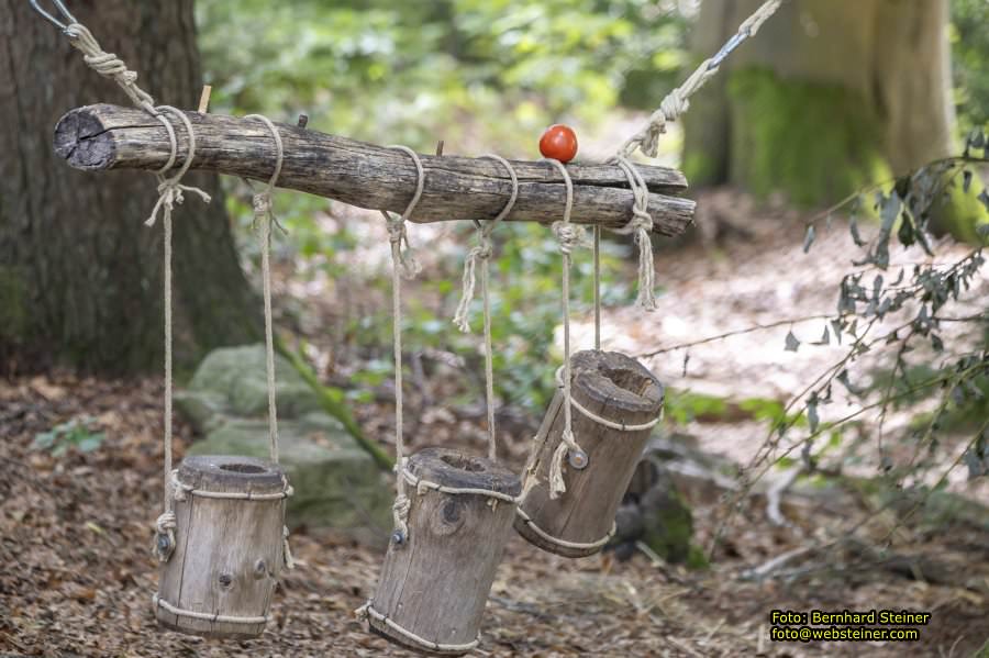 Bärenwald Arbesbach, September 2023