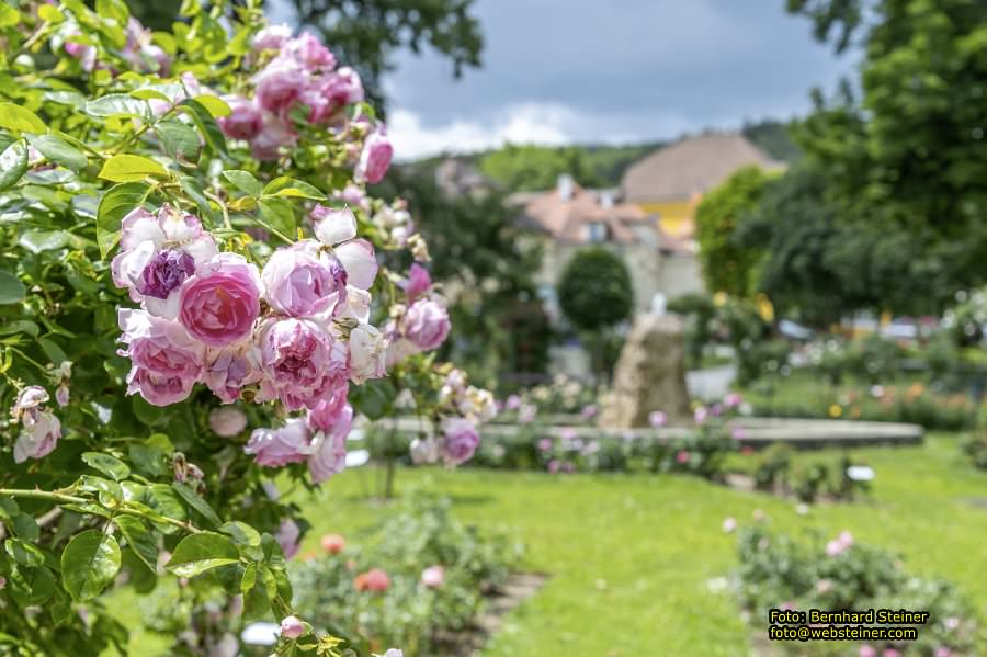 Bad Sauerbrunn im Nordburgenland, Juni 2026
