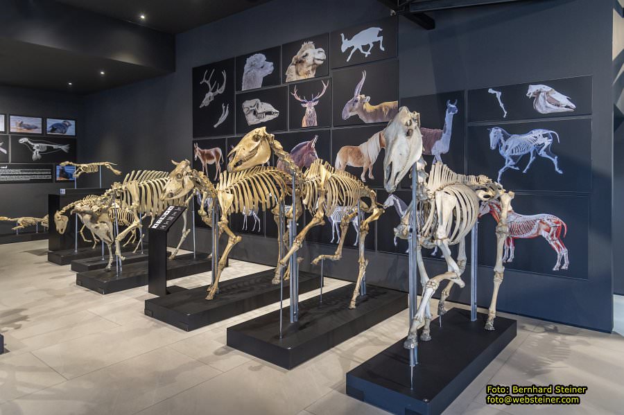 Baku, Azerbaijan, October 2025