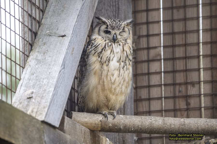 Natur- und Erlebnispark Buchenberg, Mai 2023