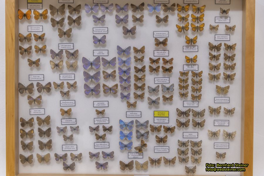 Dubrovnik, Kroatien, Mai 2025