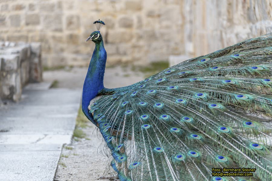 Dubrovnik, Kroatien, Mai 2025
