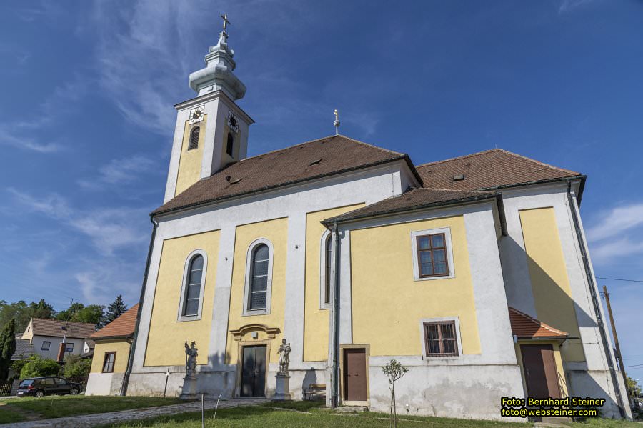 D�rnkrut im Marchfeld, August 2023