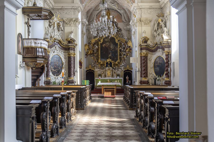 D�rnkrut im Marchfeld, August 2023