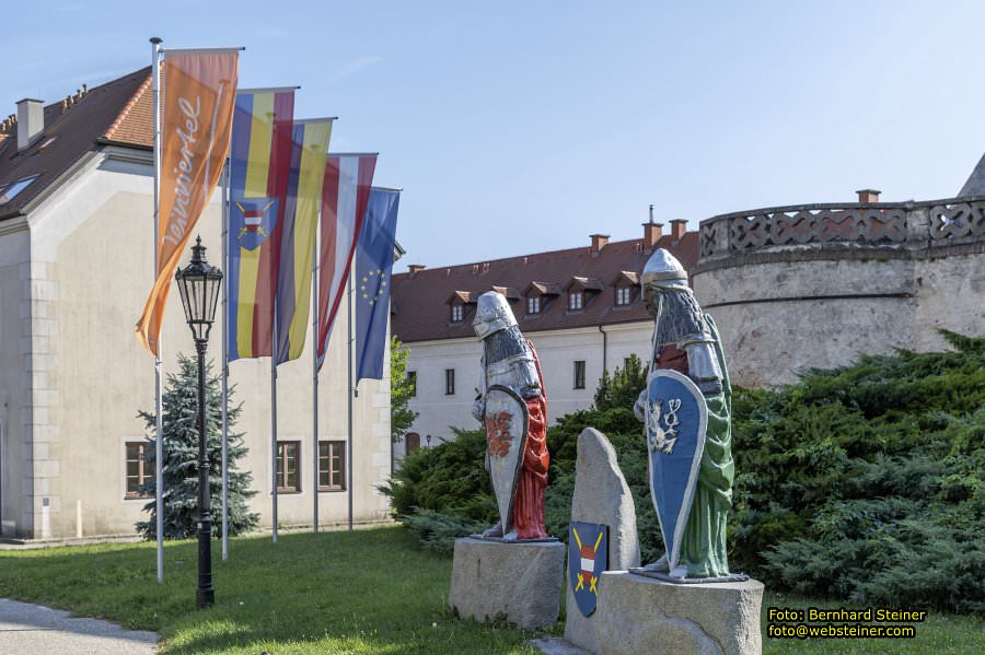 D�rnkrut im Marchfeld, August 2023