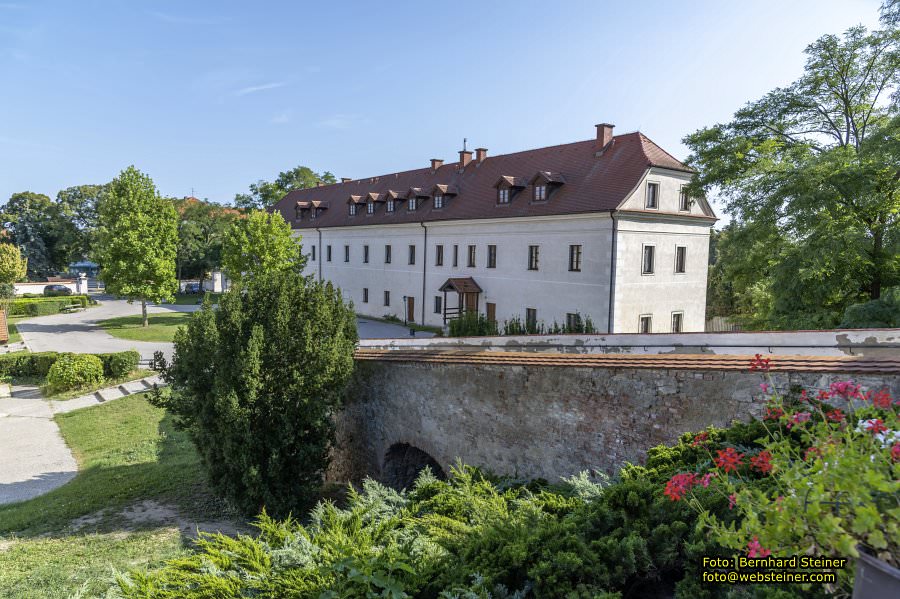 D�rnkrut im Marchfeld, August 2023