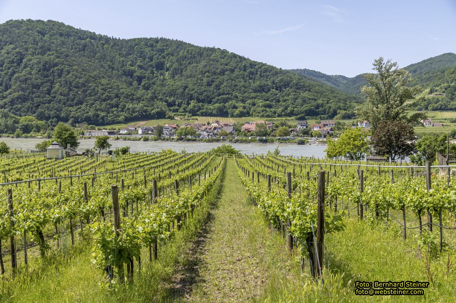 Stift D�rnstein an der Wachaubahn, Juni 2023