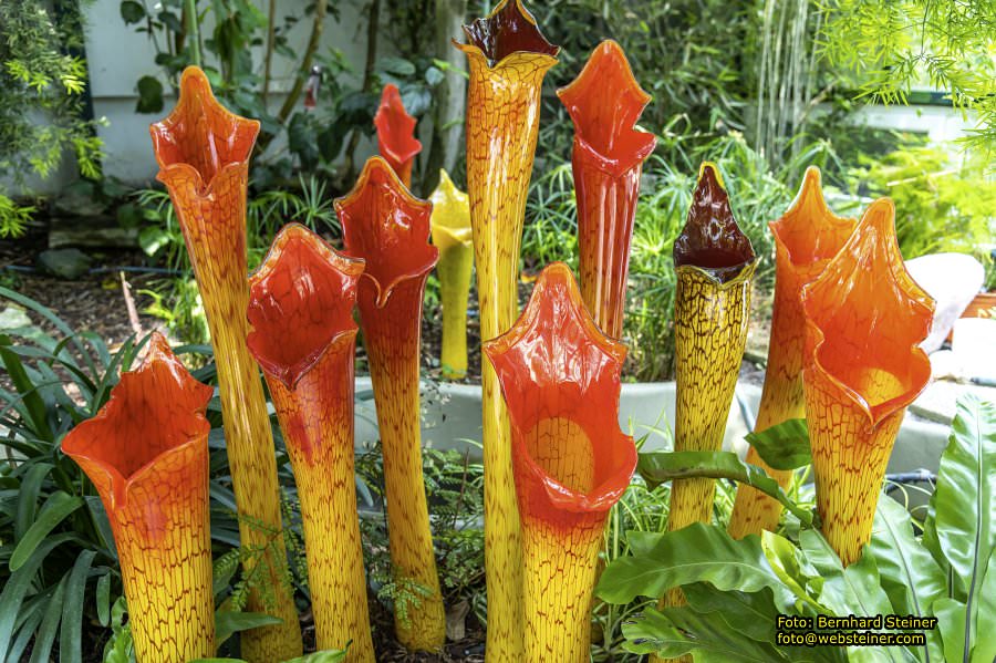 Glasmuseum- Die gläserne Burg, Juni 2023