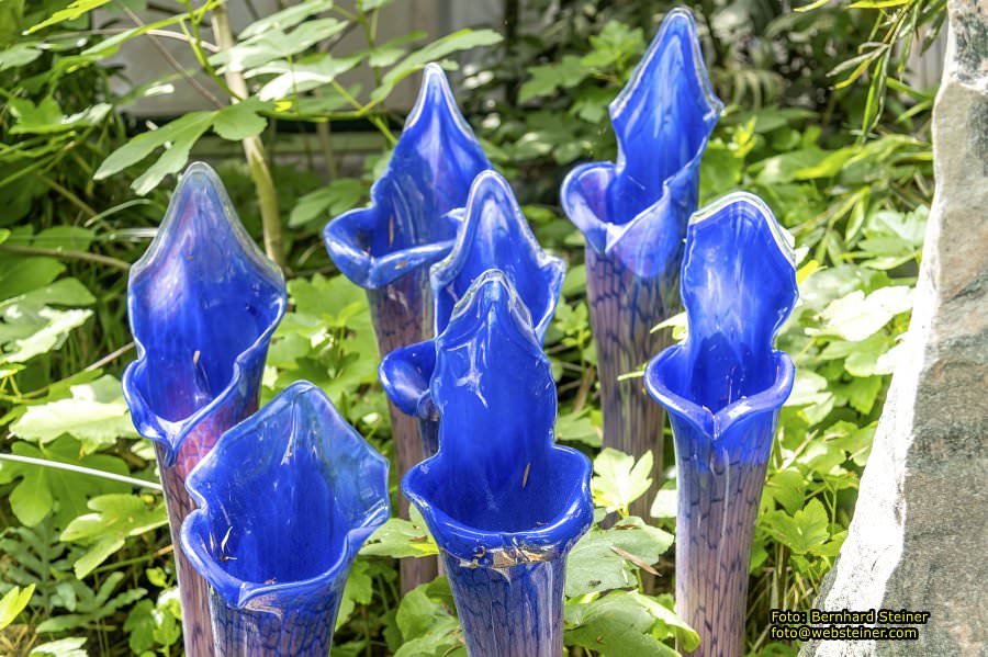 Glasmuseum- Die gläserne Burg, Juni 2023