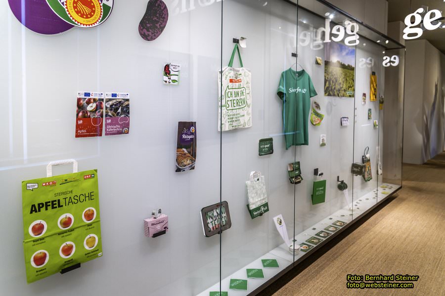 Volkskundemuseum am Paulustor, Dezember 2022