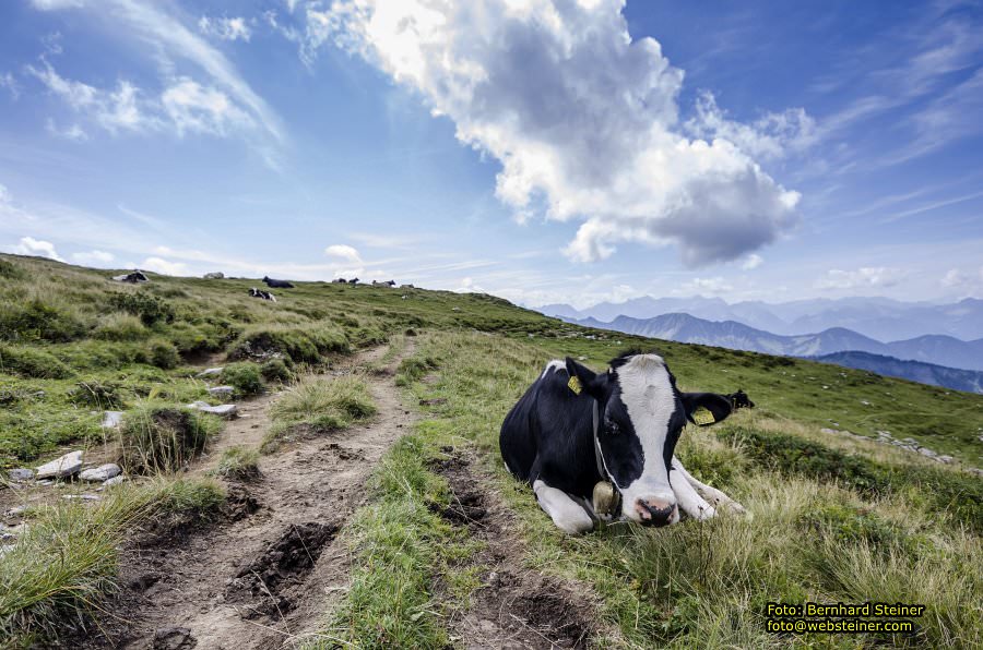 Hoher Freschen in Vorarlberg, August 2017