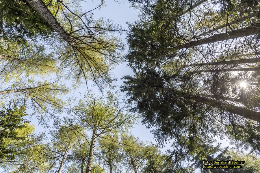 Hohe Wand Naturpark, Gutensteiner Alpen, September 2023