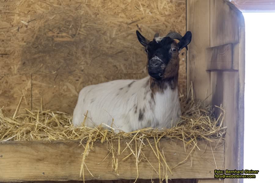 Kittenberger Erlebnisg�rten, Juni 2023