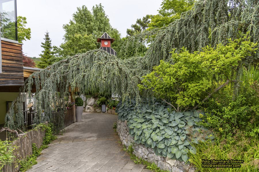 Kittenberger Erlebnisg�rten, Juni 2023