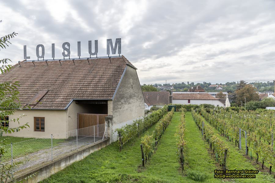 LOISIUM - WeinWelt in Langenlois, Oktober 2023