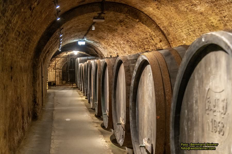 LOISIUM - WeinWelt in Langenlois, Oktober 2023