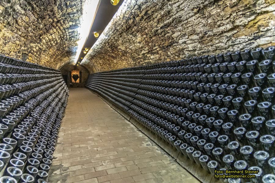 LOISIUM - WeinWelt in Langenlois, Oktober 2023