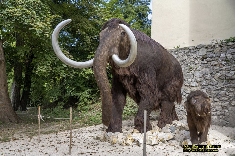 MAMUZ Schloss Asparn/Zaya, September 2023