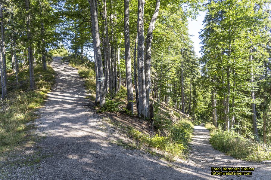 Mariazeller B�rgeralpe, September 2023