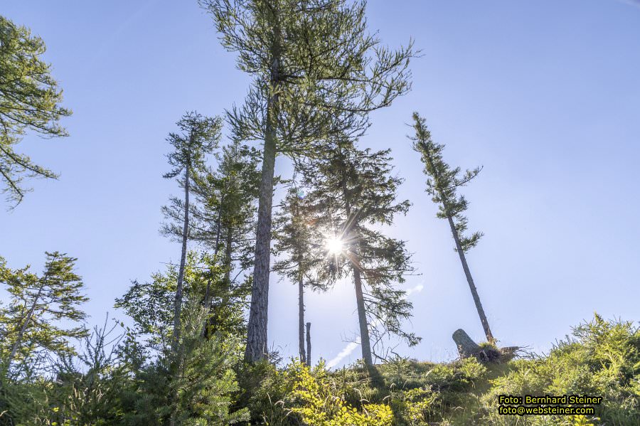 Mariazeller B�rgeralpe, September 2023