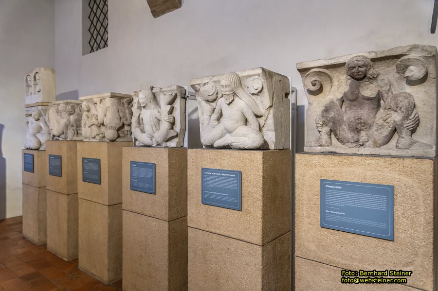 Duomo di Modena, Juni 2026