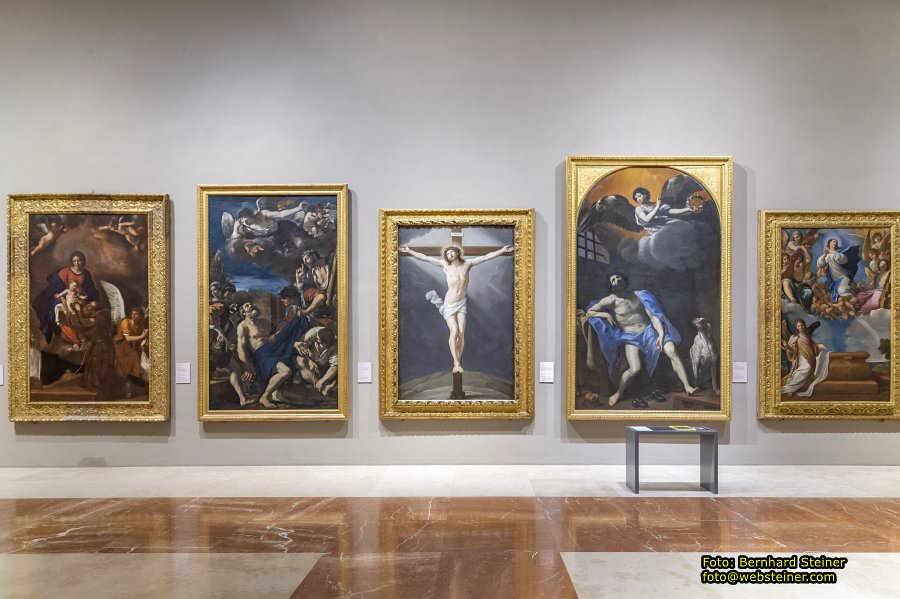 Palazzo dei Musei in Modena, Juni 2026
