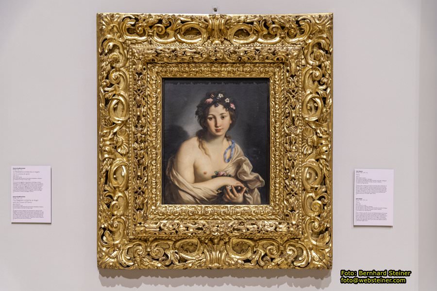 Palazzo dei Musei in Modena, Juni 2026