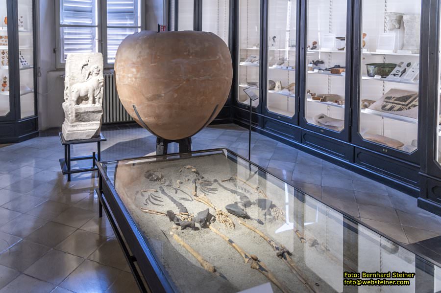 Palazzo dei Musei in Modena, Juni 2026