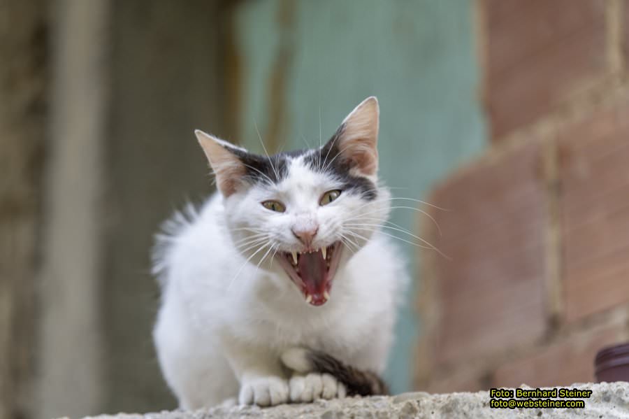 Mostar in Bosnien und Herzegowina, Mai 2025