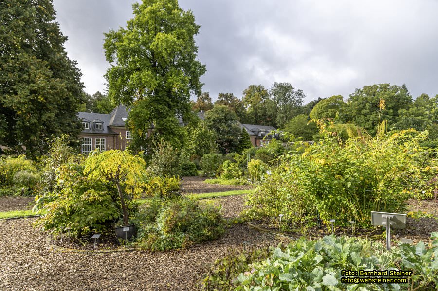 Münster in Westfalen, September 2024