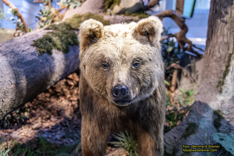 Museum Nieder�sterreich, J�nner 2023