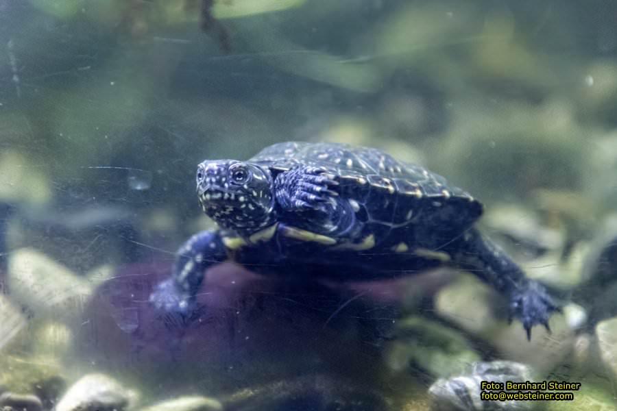 Museum Nieder�sterreich, J�nner 2023