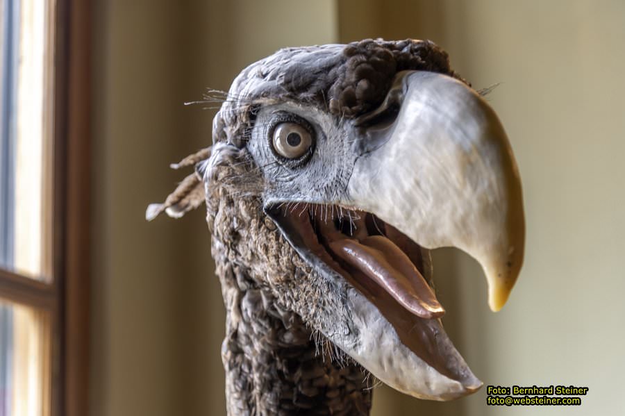 Naturhistorisches Museum Wien - NHM, J�nner 2023