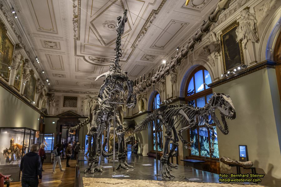 Naturhistorisches Museum Wien - NHM, J�nner 2023