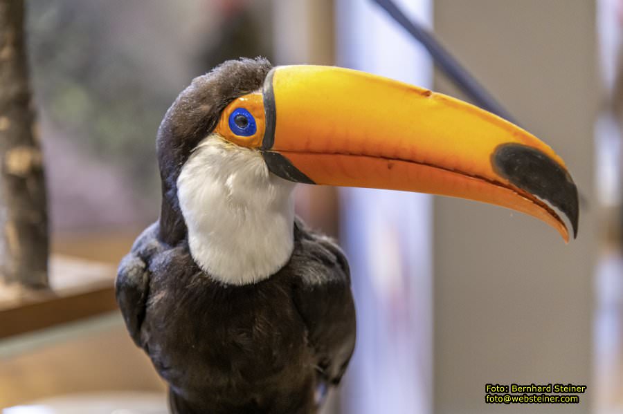 Naturhistorisches Museum Wien - NHM, J�nner 2023