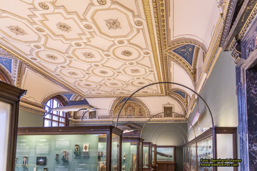 Naturhistorisches Museum Wien - NHM, J�nner 2023