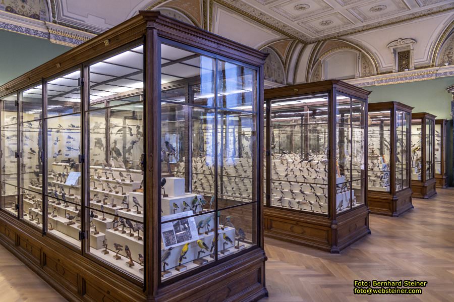 Naturhistorisches Museum Wien - NHM, J�nner 2023