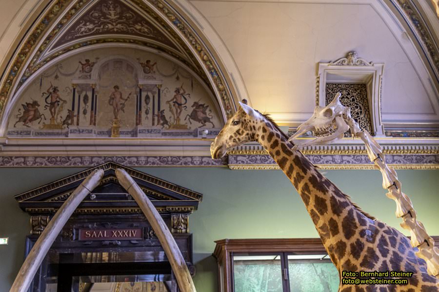 Naturhistorisches Museum Wien - NHM, J�nner 2023